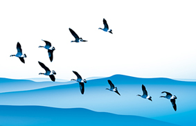 工作準(zhǔn)則 工作準(zhǔn)則